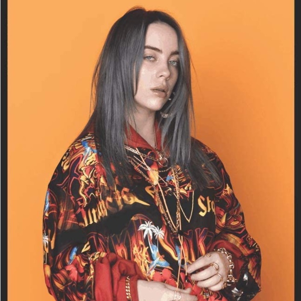 Billie Eilish Photo Poster